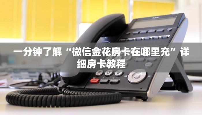 一分钟介绍使用“炸 金花入口链接”详细房卡教程