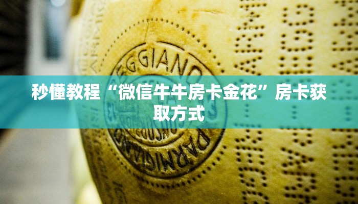 给大家讲解“皇豪互娱在哪里买房卡”获取房卡教程-哔哩哔哩