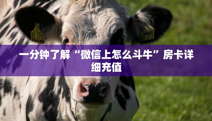 一分钟了解“微信上怎么斗牛”房卡详细充值