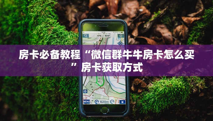 房卡必备教程“微信群牛牛房卡怎么买”房卡获取方式