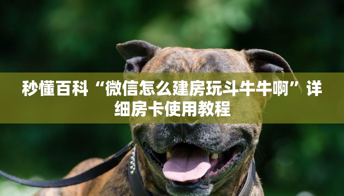 给大家讲解“如何创建斗牛房间链接”详细房卡怎么购买教程