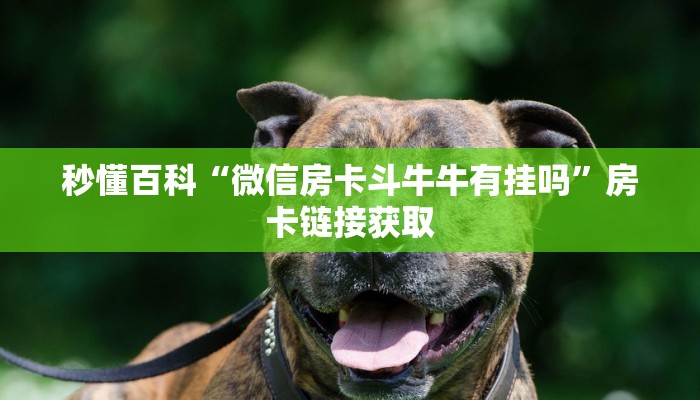 给大家讲解“新天道牛牛房卡”房卡详细充值