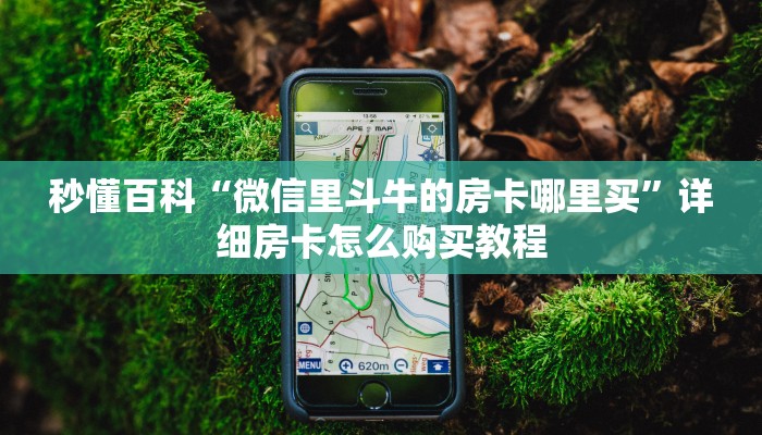秒懂百科“微信里斗牛的房卡哪里买”详细房卡怎么购买教程