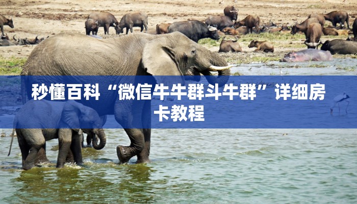 秒懂百科“微信牛牛群斗牛群”详细房卡教程