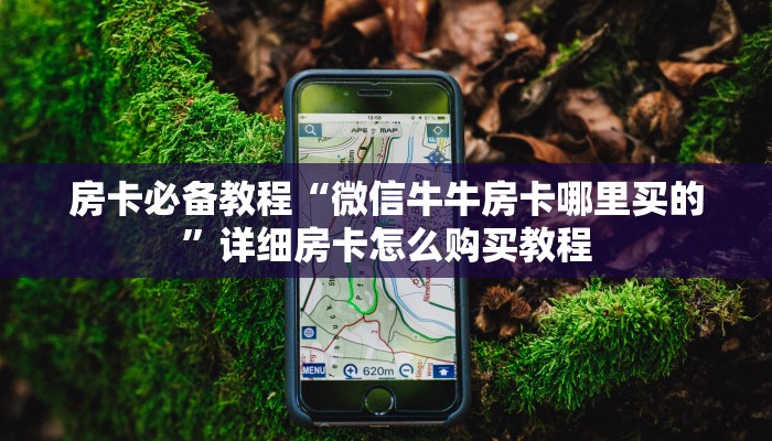 房卡必备教程“微信牛牛房卡哪里买的”详细房卡怎么购买教程