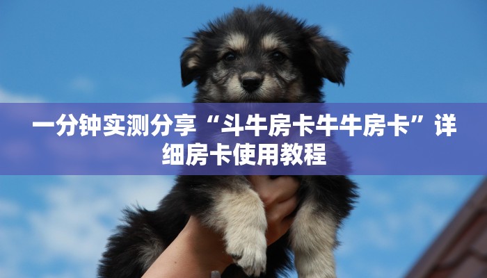 房卡必备教程“微信牛牛链接房卡多少钱一张”详细房卡使用教程