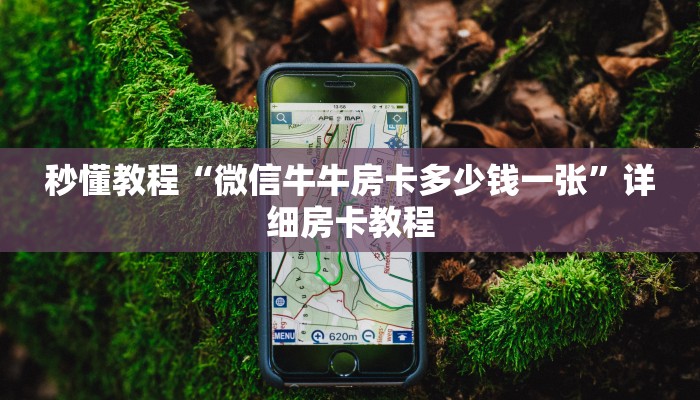 秒懂教程“皇豪互娱链接房卡”详细房卡怎么购买教程