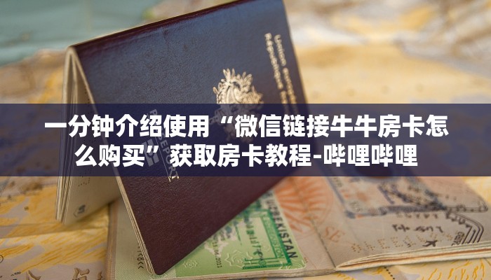 秒懂教程“新海贝大厅在哪买房卡”获取房卡教程-哔哩哔哩