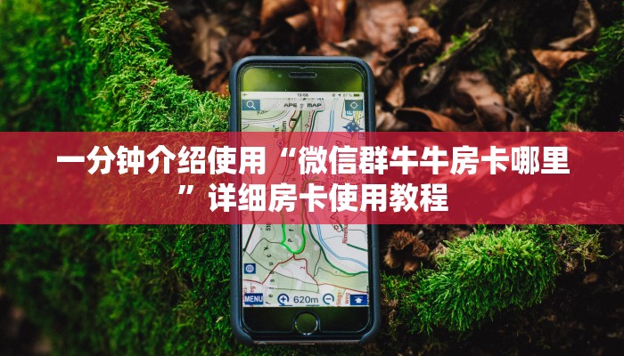 一分钟介绍使用“微信群牛牛房卡哪里”详细房卡使用教程