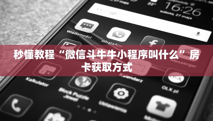 秒懂教程“微信斗牛牛小程序叫什么”房卡获取方式
