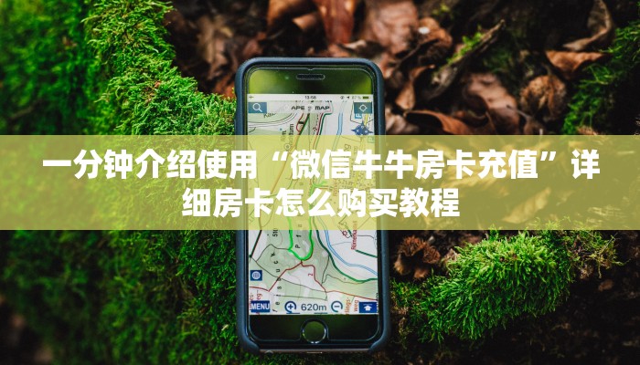 房卡必备教程“炸 金花房卡链接多少钱”房卡详细充值
