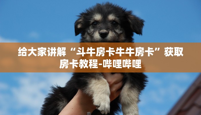给大家讲解“斗牛房卡牛牛房卡”获取房卡教程-哔哩哔哩