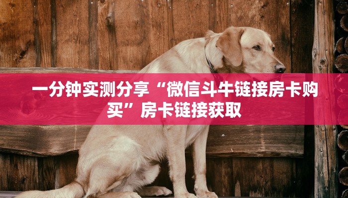给大家讲解“微信斗牛房卡怎么弄”房卡详细充值