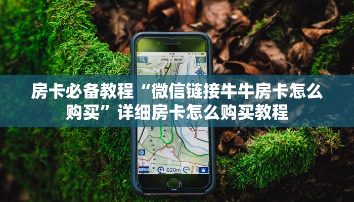 秒懂百科“新八戒金花房卡”房卡详细充值