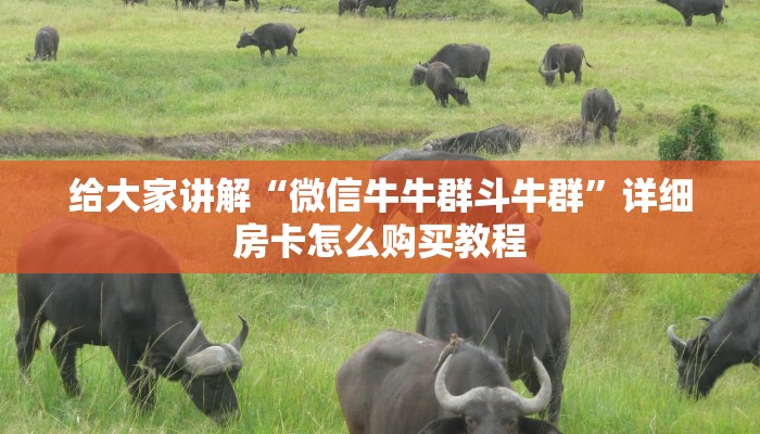 给大家讲解“微信牛牛群斗牛群”详细房卡怎么购买教程
