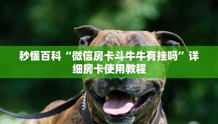 秒懂百科“微信房卡斗牛牛有挂吗”详细房卡使用教程