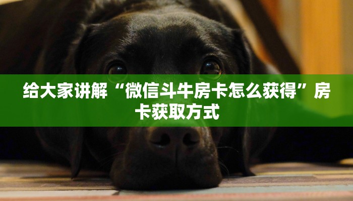 给大家讲解“微信斗牛房卡怎么获得”房卡获取方式