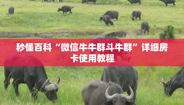 秒懂百科“微信牛牛群斗牛群”详细房卡使用教程