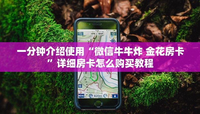 一分钟介绍使用“微信牛牛炸 金花房卡”详细房卡怎么购买教程