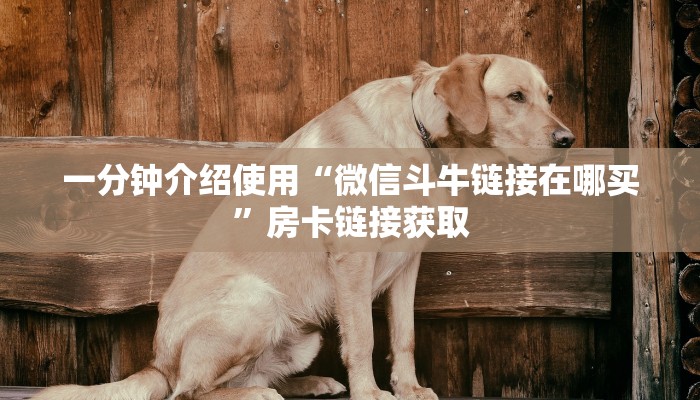 一分钟介绍使用“微信斗牛链接在哪买”房卡链接获取