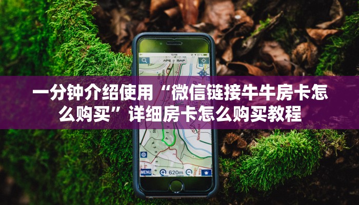 一分钟介绍使用“微信链接牛牛房卡怎么购买”详细房卡怎么购买教程