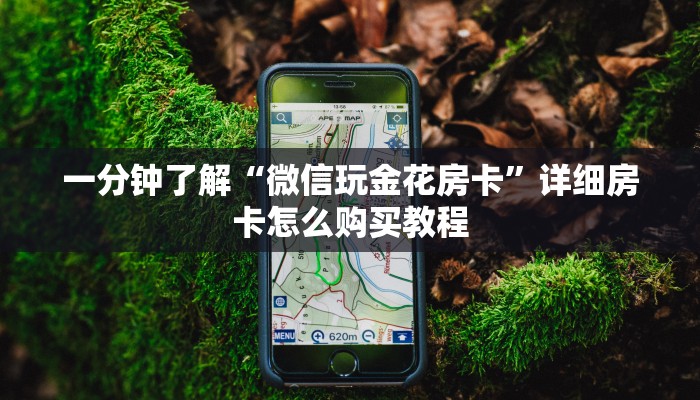 一分钟了解“微信玩金花房卡”详细房卡怎么购买教程