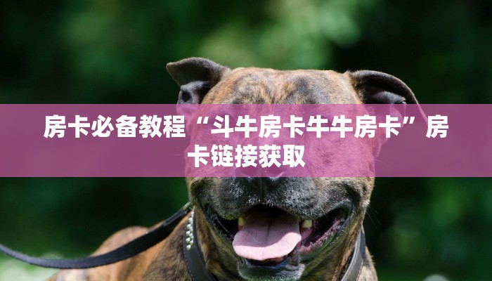 房卡必备教程“斗牛房卡牛牛房卡”房卡链接获取