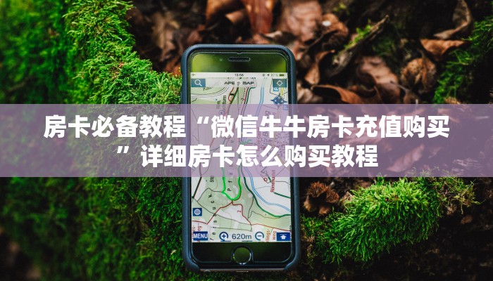 房卡必备教程“微信牛牛房卡充值购买”详细房卡怎么购买教程
