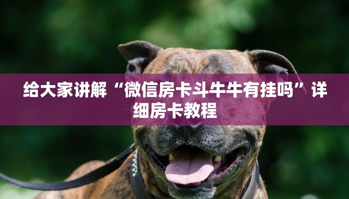 给大家讲解“微信房卡斗牛牛有挂吗”详细房卡教程