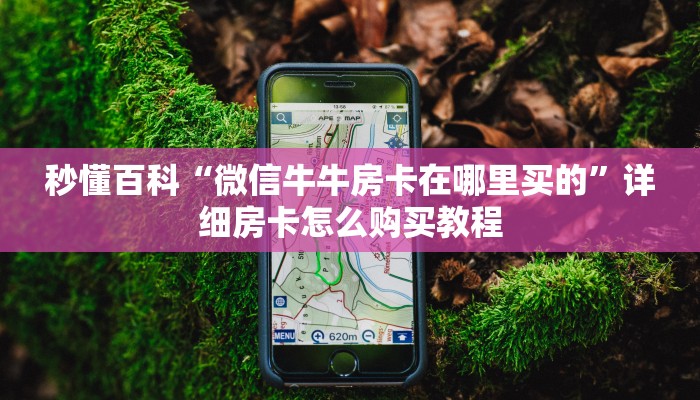 秒懂百科“微信牛牛房卡在哪里买的”详细房卡怎么购买教程