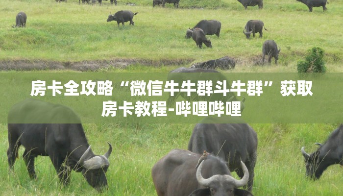 房卡全攻略“微信牛牛群斗牛群”获取房卡教程-哔哩哔哩