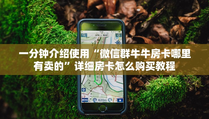 一分钟介绍使用“微信群牛牛房卡哪里有卖的”详细房卡怎么购买教程
