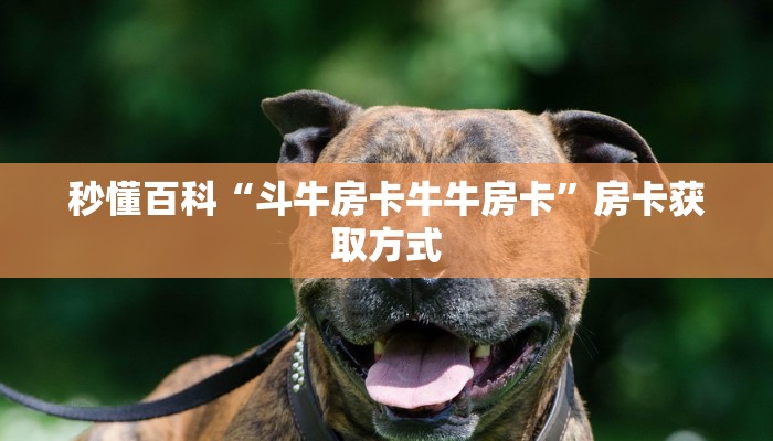 秒懂百科“斗牛房卡牛牛房卡”房卡获取方式