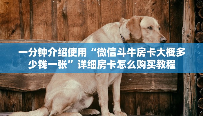 一分钟介绍使用“微信斗牛房卡大概多少钱一张”详细房卡怎么购买教程