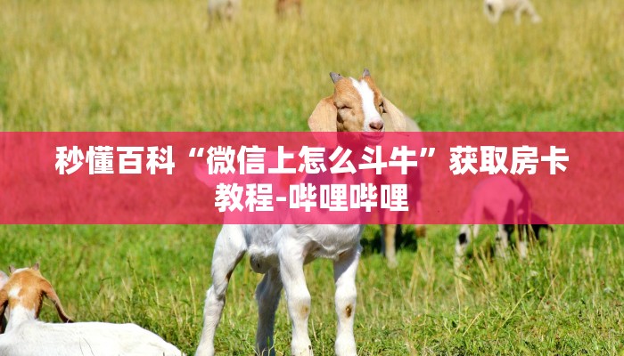 秒懂百科“微信上怎么斗牛”获取房卡教程-哔哩哔哩