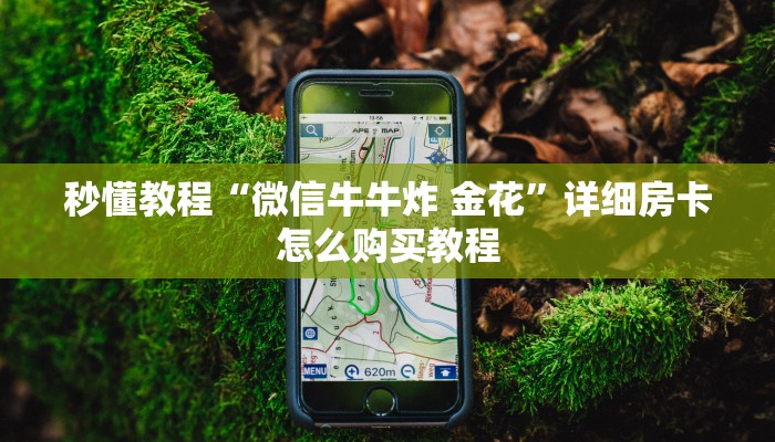秒懂教程“微信牛牛炸 金花”详细房卡怎么购买教程