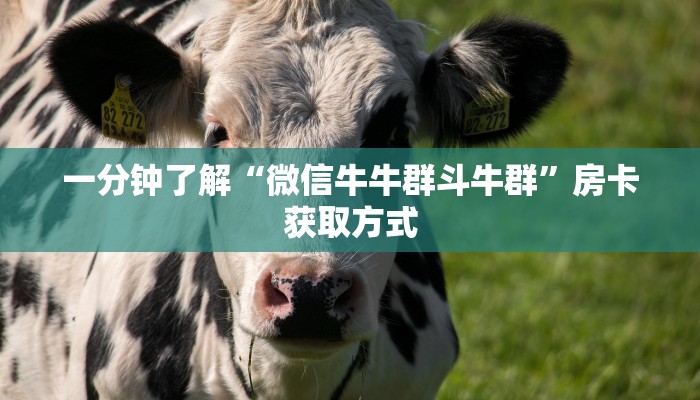一分钟了解“微信牛牛群斗牛群”房卡获取方式