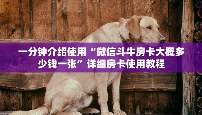 一分钟介绍使用“微信斗牛房卡大概多少钱一张”详细房卡使用教程