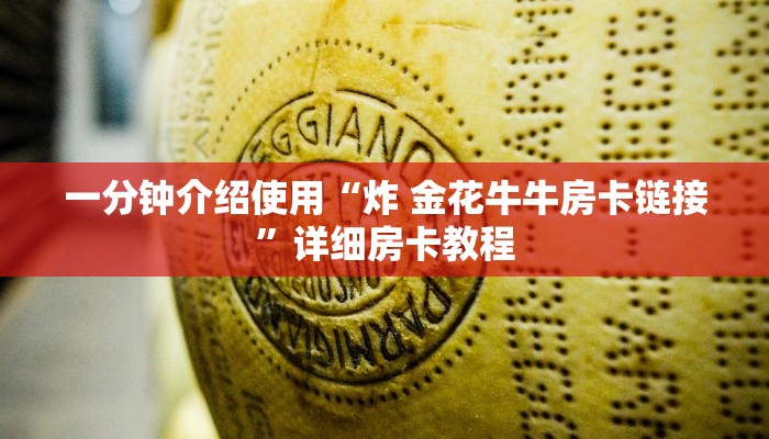 一分钟介绍使用“炸 金花牛牛房卡链接”详细房卡教程