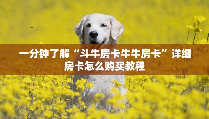 一分钟了解“斗牛房卡牛牛房卡”详细房卡怎么购买教程