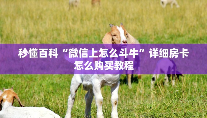 秒懂百科“微信上怎么斗牛”详细房卡怎么购买教程