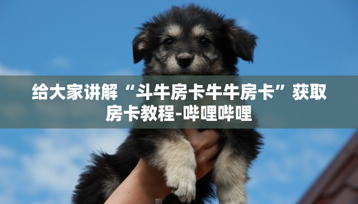 房卡必备教程“微信牛牛群房卡怎么弄”详细房卡怎么购买教程