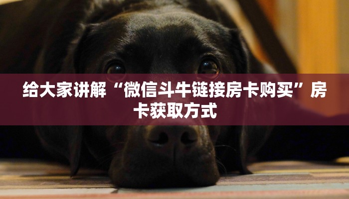 给大家讲解“微信斗牛链接房卡购买”房卡获取方式