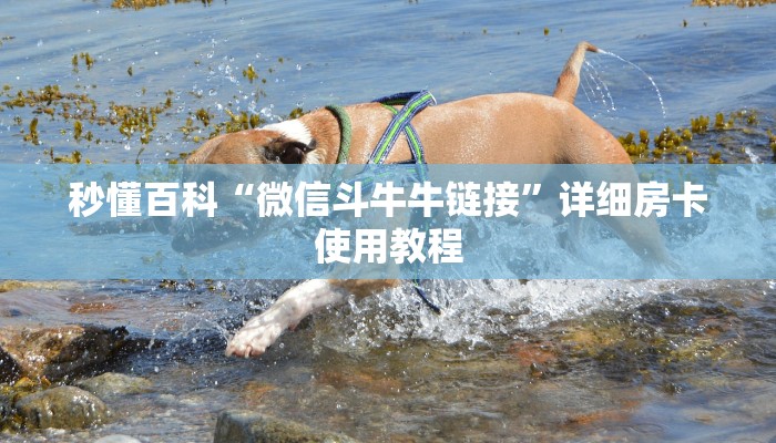 秒懂百科“微信斗牛牛链接”详细房卡使用教程
