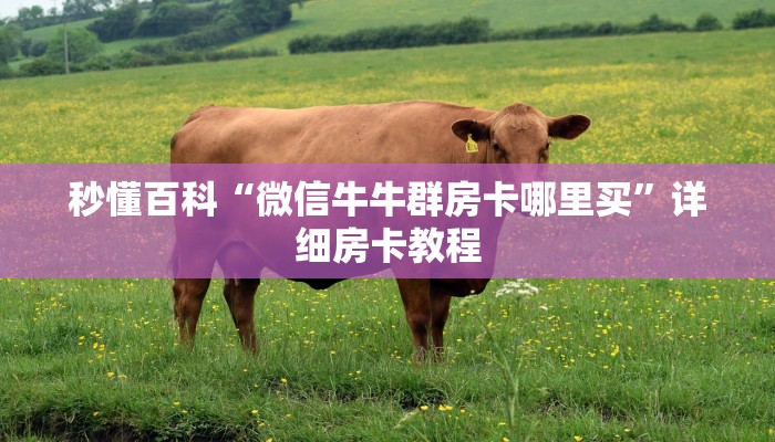 秒懂百科“微信牛牛群房卡哪里买”详细房卡教程