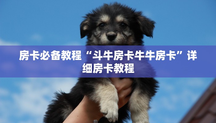 房卡必备教程“斗牛房卡牛牛房卡”详细房卡教程