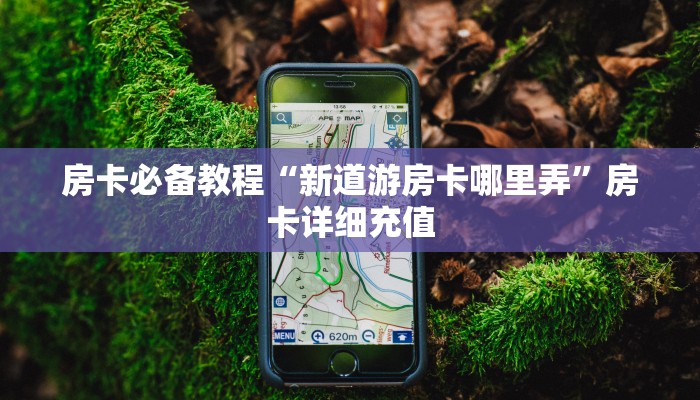 房卡必备教程“新道游房卡哪里弄”房卡详细充值