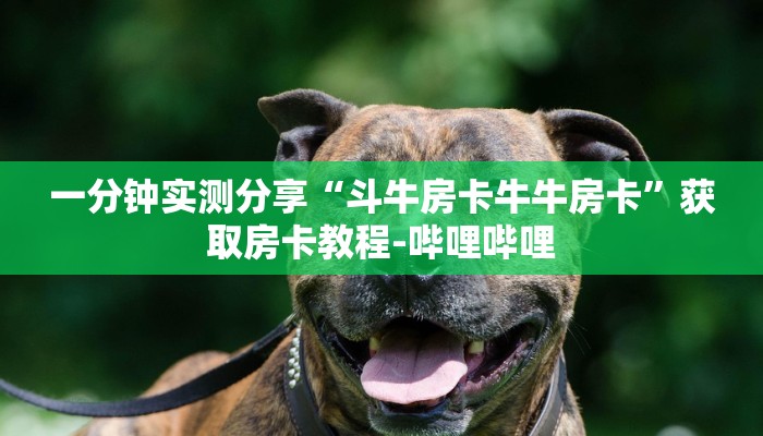 一分钟实测分享“斗牛房卡牛牛房卡”获取房卡教程-哔哩哔哩