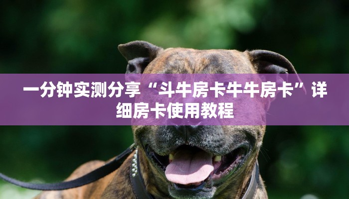 一分钟实测分享“斗牛房卡牛牛房卡”详细房卡使用教程