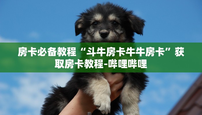 房卡必备教程“斗牛房卡牛牛房卡”获取房卡教程-哔哩哔哩